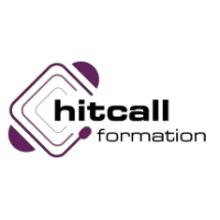Hitcall Group